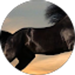 Profile photo of julian torrez