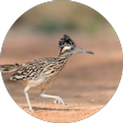 Profile photo of Isaac Hanks