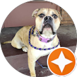 Profile photo of Sandra Johnson