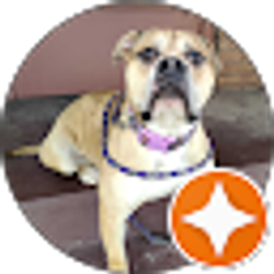 Profile photo of Sandra Johnson