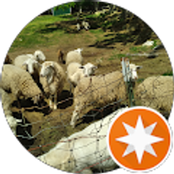 Profile photo of Ari Kon