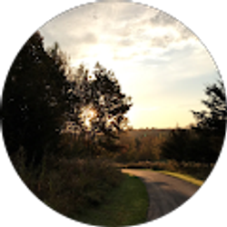 Profile photo of Peach Schmidtlein