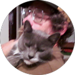 Profile photo of Dave Plechaty