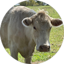 Profile photo of Barbara Belling