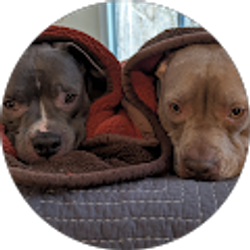 Profile photo of Shari Fogarty