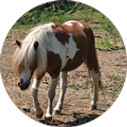 Profile photo of Emily Phillips