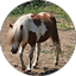 Profile photo of Emily Phillips