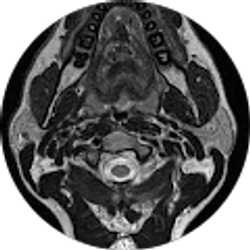 Profile photo of 40'vine