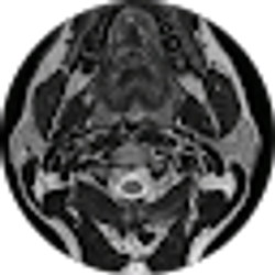 Profile photo of 40'vine