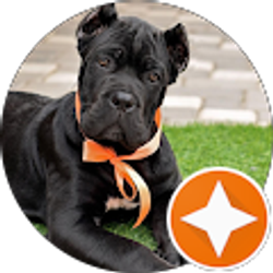 Profile photo of Derrick Finley