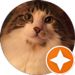 Profile photo of Stephanie Bridgwaters