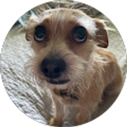 Profile photo of Glenn Grabanski