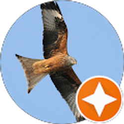 Profile photo of David Daley