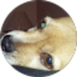 Profile photo of Matthew McGowan