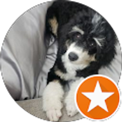 Profile photo of Amber A.