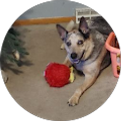 Profile photo of Annette Markin