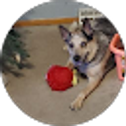 Profile photo of Annette Markin