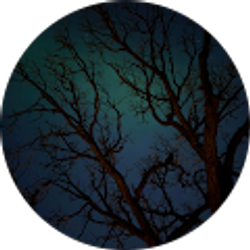 Profile photo of Tamsen Kopp