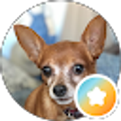 Profile photo of LOUIS