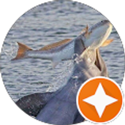 Profile photo of Kelley Burnett