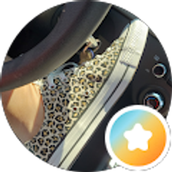 Profile photo of Cindy B