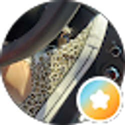 Profile photo of Cindy B