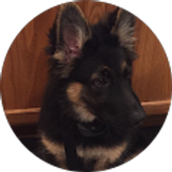 Profile photo of Jackie Tiles