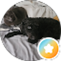 Profile photo of Tracy Brothers