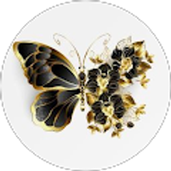 Profile photo of Rosana Nunez