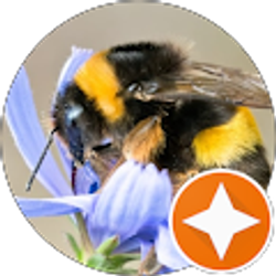 Profile photo of Steph