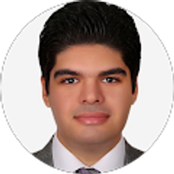 Profile photo of Milad Rezvani Rad