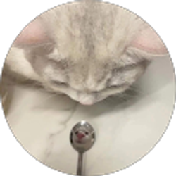 Profile photo of Elaine Zhen