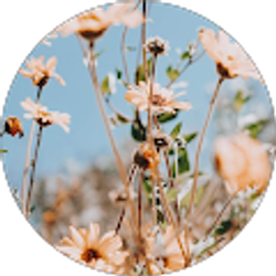 Profile photo of Maggie O'Brien