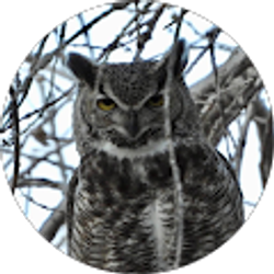 Profile photo of Dennis Kuhn