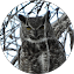 Profile photo of Dennis Kuhn