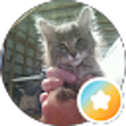 Profile photo of kathy Moeckel