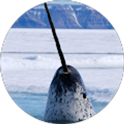 Profile photo of Karrie