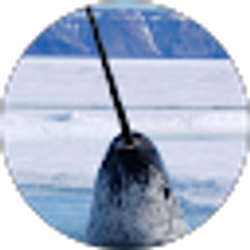 Profile photo of Karrie