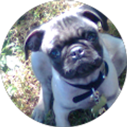 Profile photo of Maria Tan