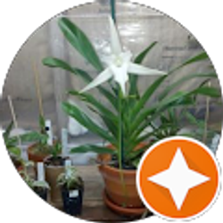 Profile photo of J. Emory