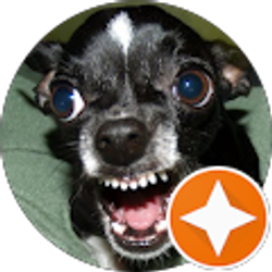 Profile photo of Pete Scott