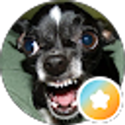 Profile photo of Pete Scott