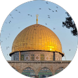 Profile photo of Rima Zalatimo