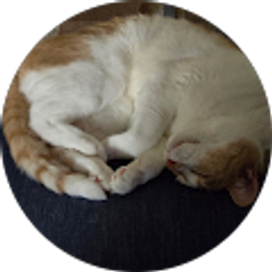 Profile photo of Michael Cooley