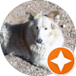 Profile photo of Al Sciuto