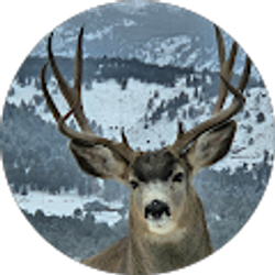 Profile photo of edward hilger