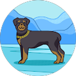 Profile photo of Taci Ray