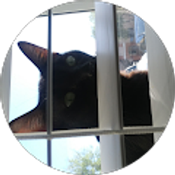 Profile photo of Sarah M