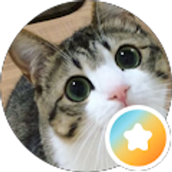 Profile photo of Phil