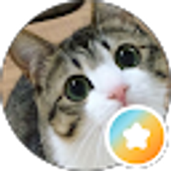 Profile photo of Phil